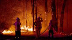 Les Aborigènes ont formé une brigade de pompiers entièrement féminine lorsque les feux de brousse australiens ont menacé leur terre sacrée