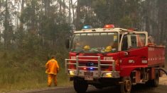 Australie: des pluies torrentielles éteignent les incendies à l’est jusqu’alors ravagé par des flammes