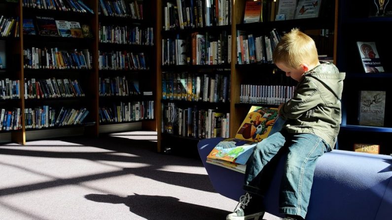 Un enfant dans une bibliothèque. (Pixabay)