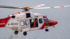 Un hélicoptère de la garde côtière qui effectuait un vol d’entraînement sauve la vie d’un chien qui allait être emporté par la mer