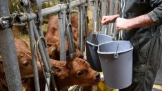 Somme : un agriculteur surendetté reçoit une facture d’eau de 34 000 euros à cause d’une fuite sur une canalisation