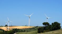 Désabusés par l’installation d’éoliennes géantes, ils vendent le château qu’ils ont passé plusieurs années à restaurer