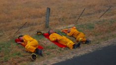 Le message d’une fille qui montre son père pompier dormant sur le sol après avoir combattu les flammes devient viral