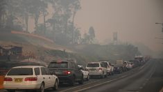 Incendies en Australie : 48° C, des dizaines de milliers de personnes fuient les villes du Sud-Est