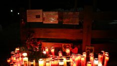 Six jeunes Allemands ont perdu la vie fauchés par un automobiliste ivre en Italie