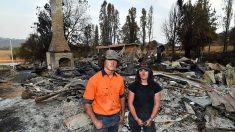 Les fermiers australiens touchés par les feux jurent de renaître de leurs cendres