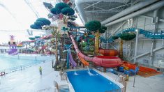 Ski, parc aquatique, lapins: aux Etats-Unis, un centre commercial géant veut réinventer le modèle