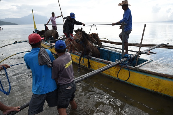-Les résidents vivant au pied du volcan Taal déchargent leurs chevaux d'un bateau en bois après les avoir sauvés de leurs maisons et les avoir transportés vers la ville de Balete, au sud de Manille le 14 janvier 2020. Photo de TED ALJIBE / AFP via Getty Images.