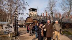 Les survivants d’Auschwitz lancent un avertissement, 75 ans après la libération