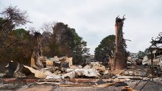 Incendies en Australie: des réservistes déployés après un week-end catastrophique
