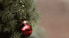 Une petite fille âgée de 9 mois est décédée après avoir avalé un morceau de décoration de Noël