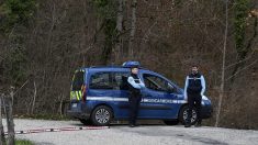 Alsace : le corps sans vie d’une quadragénaire portée disparue découvert dans une forêt