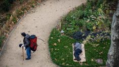 Paris : un sans-abri de 62 ans retrouvé mort dans le bois de Vincennes
