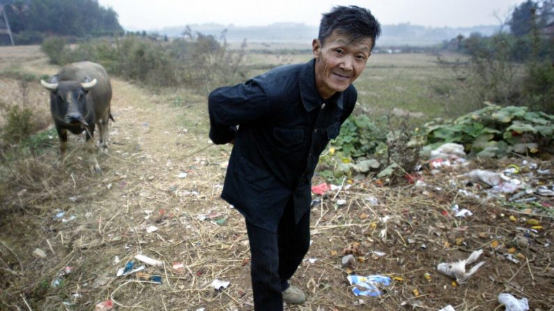 Un fermier tire son buffle d'eau le long des sentiers jonchés de déchets dans un village à l'extérieur de Yueyang, dans la province du Henan, en Chine, le 30 octobre 2004. Plus de la moitié des paysans chinois sont si pauvres qu'ils sont incapables de s'occuper d'eux-mêmes. (Frederic J. Brown/AFP via Getty Images)