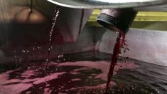 Une fuite de 441 000 litres de vin rouge dans une rivière de la Californie du Nord