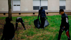 Les jeunes de Cergy organisent des opérations de nettoyage de quartier, avec des places de ciné en cadeau de participation