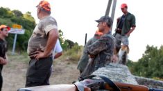 Landes – Un chasseur grièvement blessé par un cerf : « J’avais la moitié du visage arraché »