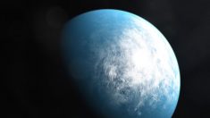 La Nasa découvre une autre planète de la taille de la Terre dans une « zone habitable »