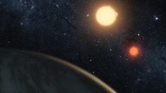 Un lycéen découvre une exoplanète pendant son stage à la NASA – une importante découverte scientifique