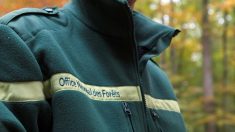 Aisne : un forestier à la retraite et sa femme menacés d’expulsion par l’Office national des forêts