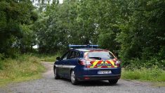 Femme enceinte tuée en forêt : le commandant du groupement de gendarmerie de l’Aisne quitte le département