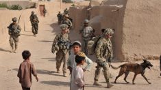 En Afghanistan, un chien de l’armée américaine perd la vie en sauvant des rangers