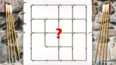 Combien de carrés voyez-vous dans cette structure? Ce n’est pas tout le monde qui réussit, pouvez-vous y arriver?