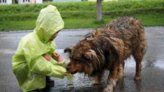 Un garçon, qui utilisait son argent de poche pour nourrir des chiens errants, ouvre un refuge pour animaux sans euthanasie à l’âge de 9 ans