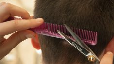 Lyon : un coiffeur propose gratuitement une coupe de cheveux ou de barbe aux sans-abri