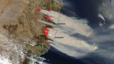 Australie: la fumée des feux de forêt fera le tour du monde, selon la NASA