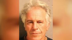 Selon un pathologiste judiciaire: l’autopsie d’Epstein est «plus révélatrice d’un homicide», alors qu’il examine des photographies