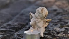La Neuvillette: Au cimetière des enfants, les souvenirs des parents endeuillés ont été jetés à la poubelle