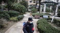 Les autorités chinoises ferment des écoles et des sites touristiques alors que la pneumonie virale atteint presque toutes les régions de Chine