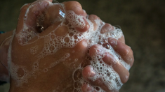 Hygiène: 1 Français sur 4 ne se lave pas tous les jours ni après s’être mouché – mais ce n’est pas tout
