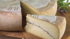 Salmonelle : retrait et rappel des lots de fromages morbier au lait cru
