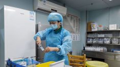 En plein coronavirus, la Chine signale une épidémie de grippe aviaire dans la province du Hunan, 18 000 poulets tués