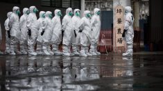 La Chine signale la première apparition de la grippe aviaire H5N6 dans une ferme avicole du Sichuan