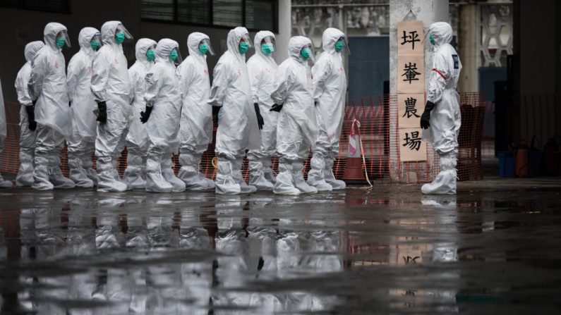 Des volontaires du Service d'aide civile portant des vêtements de protection participent à une démonstration d'abattage de poulets dans le cadre d'un exercice d'intervention d'urgence à Hong Kong le 21 mai 2017. (Dale de la Rey/AFP via Getty Images)