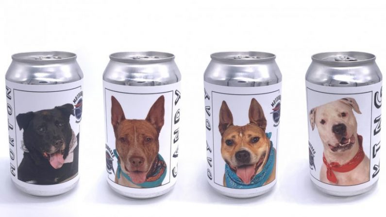 Des chiens de refuge sur des canettes de bière d'une brasserie en Floride, États-Unis. (Avec l'aimable autorisation de Motorworks Brewing)