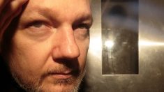 Assange : des candidats à la présidentielle dénoncent la décision de la justice britannique