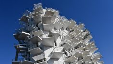 Montpellier : l’immeuble «L’Arbre blanc» élu plus beau bâtiment résidentiel au monde
