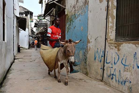 Un habitant de Lamu, au Kenya, chevauche un âne dans les rues étroites de la ville balnéaire. (Photo : TONY KARUMBA / AFP via Getty Images.)