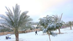 Rarissime : Bagdad s’est réveillée sous la neige ce matin