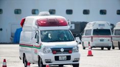 Covid-19: 44 nouveaux cas à bord du bateau de croisière au Japon (ministre)