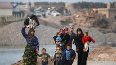 Syrie: escalade après de lourdes pertes turques, Erdogan et Poutine se parlent
