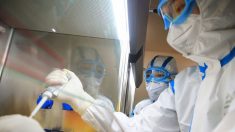 Alpes-Maritimes: tous les cas suspects de coronavirus à Nice et Monaco se sont révélés négatifs