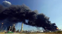 Syrie: attaque contre des sites pétroliers et gaziers (agence)