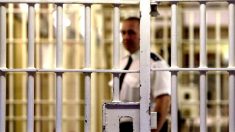 « Prisons expérimentales » :  améliorer la réinsertion des détenus vers le travail