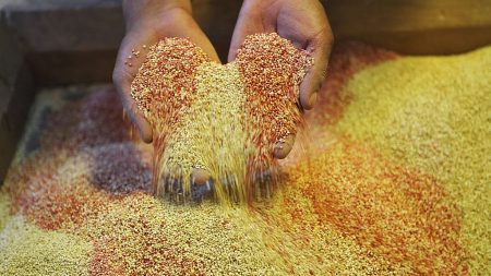 Indre-et-Loire: une grand-mère et sa petite-fille trouvent des vis dans un paquet de quinoa