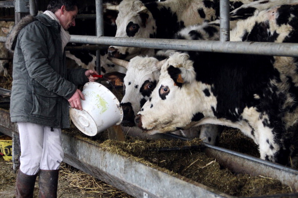 Pendant que de nombreux agriculteurs connaissent des difficultés financières, les dirigeants de la FNSEA touchent des salaires élevés. (CHARLY TRIBALLEAU/AFP via Getty Images)